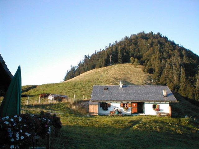 Appartements Ferienwohnungen Alpenblick Faistenau Bagian luar foto