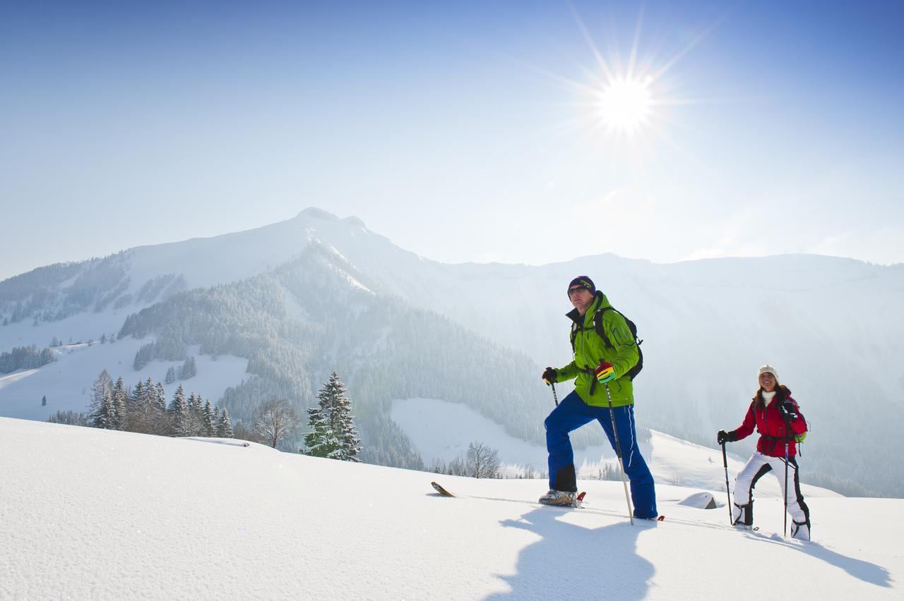 Appartements Ferienwohnungen Alpenblick Faistenau Bagian luar foto