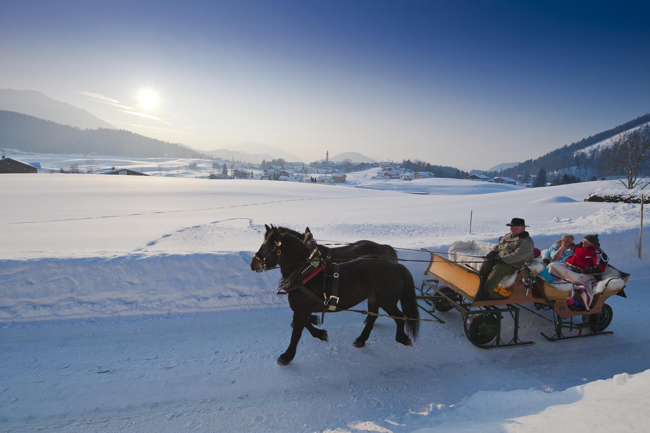 Appartements Ferienwohnungen Alpenblick Faistenau Bagian luar foto