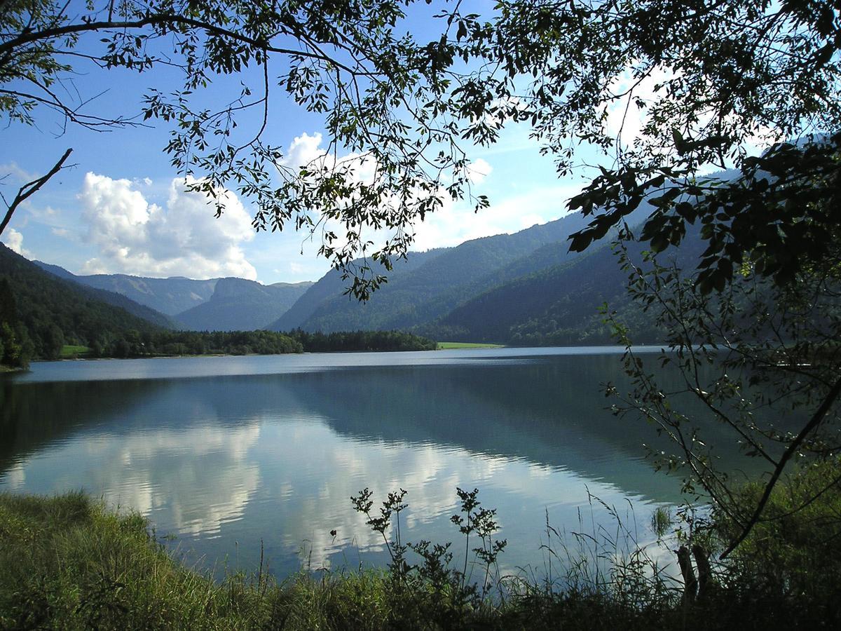 Appartements Ferienwohnungen Alpenblick Faistenau Bagian luar foto